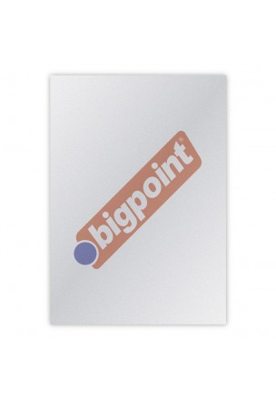 Bigpoint A4 Cilt Kapağı 150 Mikron Buzlu Şeffaf 100'lü Paket