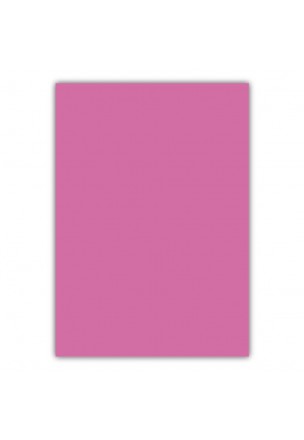 Bigpoint A4 Cilt Kapağı 150 Mikron Opak Pembe 100'lü Paket