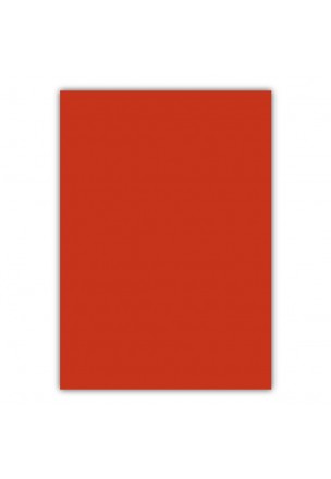 Bigpoint A4 Cilt Kapağı 150 Mikron Opak Kırmızı 100'lü Paket