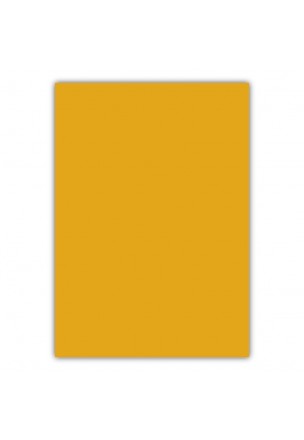 Bigpoint A4 Cilt Kapağı 150 Mikron Opak Turuncu 100'lü Paket