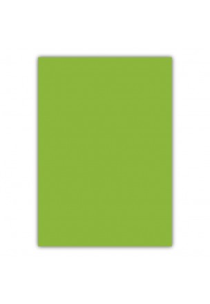 Bigpoint A4 Cilt Kapağı 150 Mikron Opak Açık Yeşil 100'lü Paket