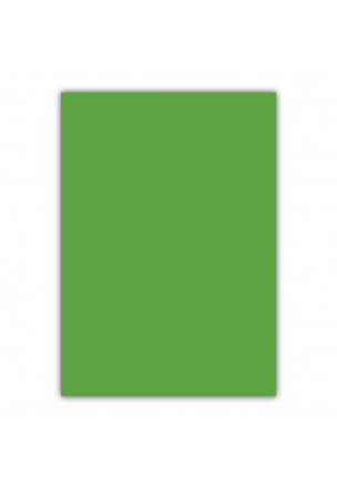 Bigpoint A4 Cilt Kapağı 150 Mikron Opak Yeşil 100'lü Paket