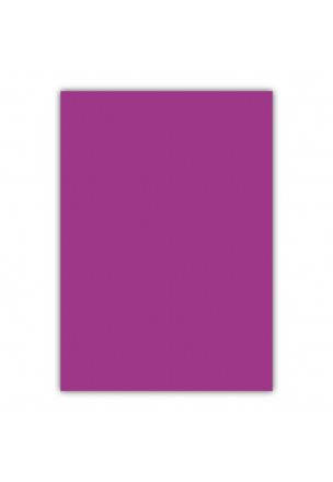 Bigpoint A4 Cilt Kapağı 150 Mikron Opak Mor 100'lü Paket
