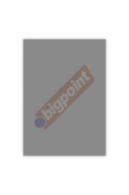 Bigpoint A4 Cilt Kapağı 150 Mikron Şeffaf Siyah 100'lü Paket