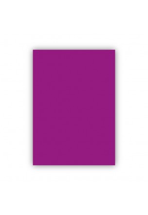 Bigpoint Fon Kartonu 50x70cm 120 Gram Mor