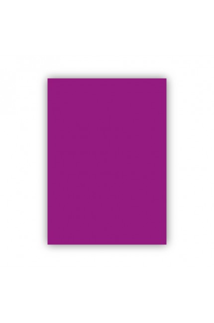 Bigpoint Fon Kartonu 50x70cm 120 Gram Mor