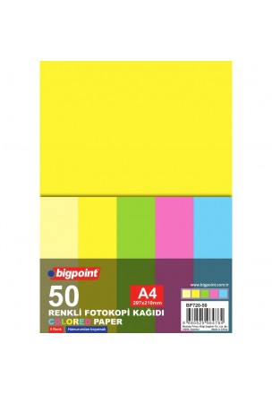 Bigpoint A4 Renkli Fotokopi Kağıdı 5 Renk 50'li Paket