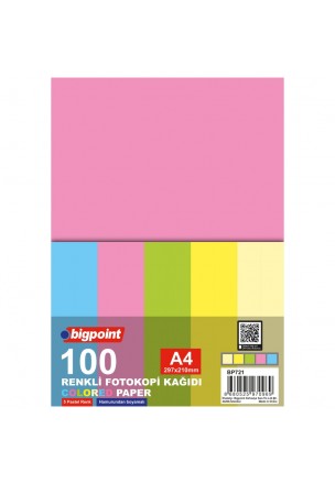 Bigpoint A4 Renkli Fotokopi Kağıdı 5 Pastel Renk 100'lü Paket