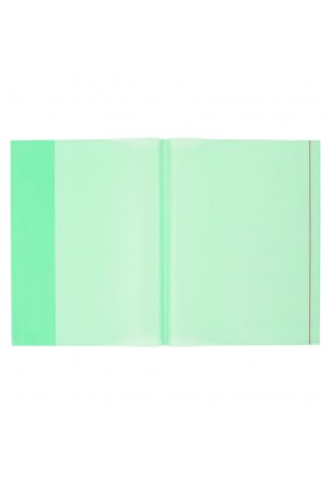 Bigpoint A4 Hazır Defter Kabı 10'lu Paket Yeşil