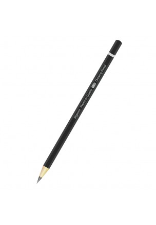 Bigpoint Dereceli Kalem 10B