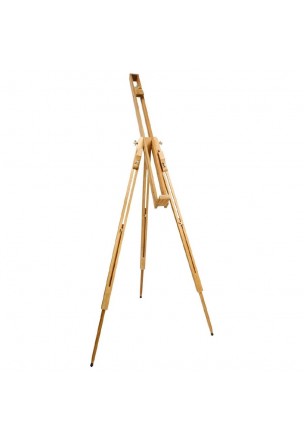 Bigpoint Kayın Şövale Kır Tipi 96x96x84/192cm