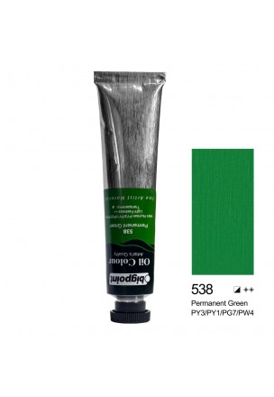 Bigpoint Yağlı Boya 45 ml Permanent Green 538